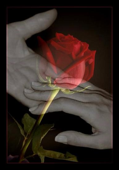 Sin futuro se repite